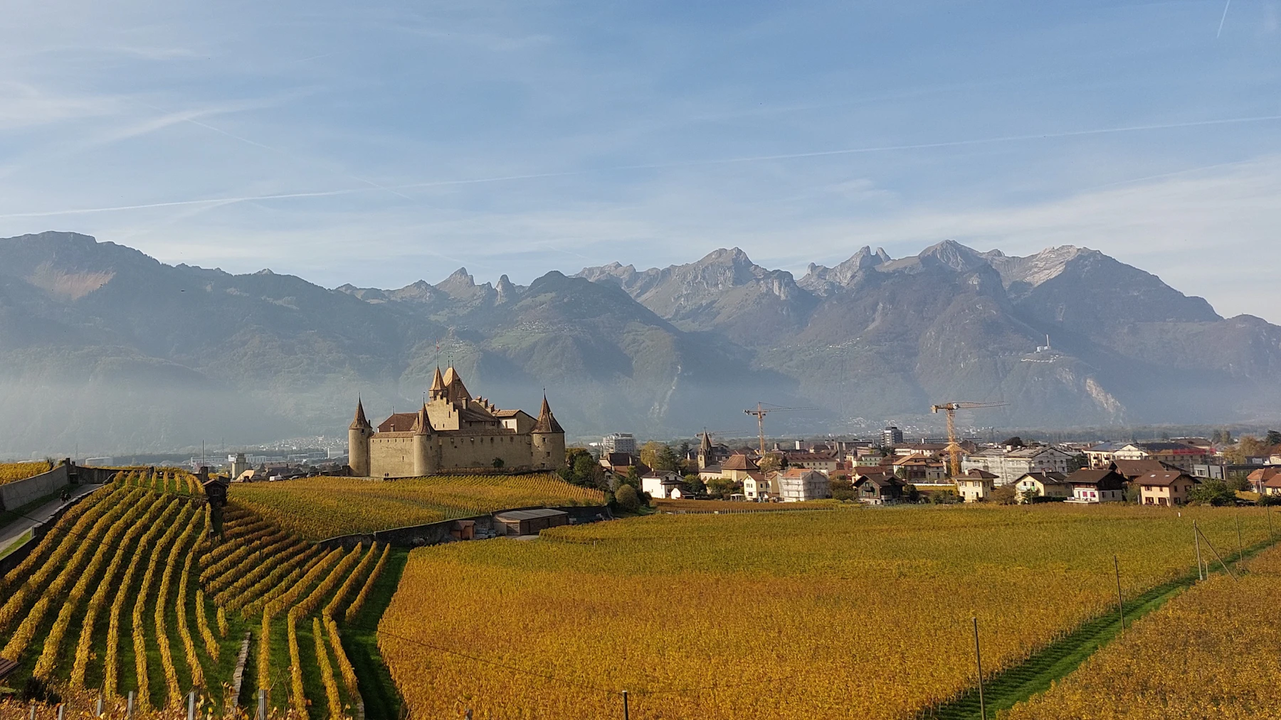 A hilltop castle above rows of vineyard with mountains beyond